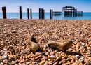 West Pier Paddle