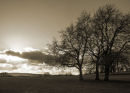 Winter Hue