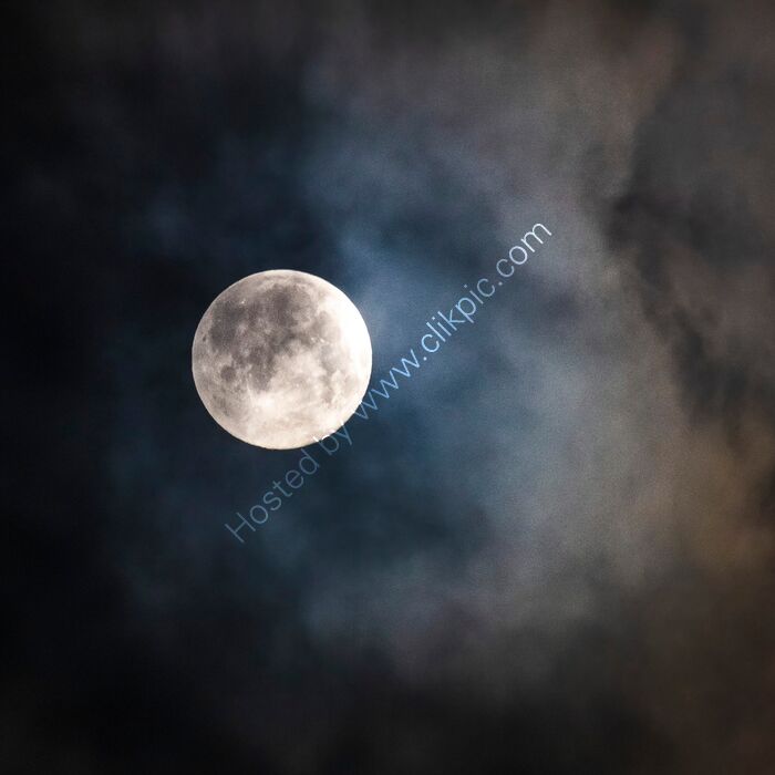 Wolf Moon 2