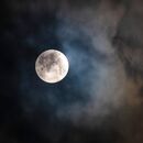 Wolf Moon 2