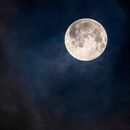 Wolf Moon