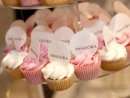 Pandora Launch for Pressley's Worthing