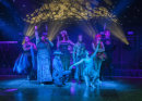 Sussex Wildlife Trust Wilderness Ball