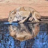 A Pause For Water