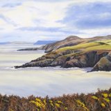 Across Aber Felin Pembrokeshire