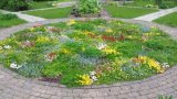 Myerscough Kitchen Garden Tapestry Lawn 2016
