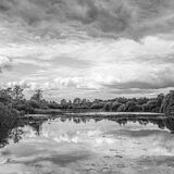 Crane Lake - Moors Valley