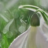 Painting with light