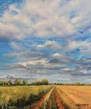 Church view from Mill lane, Great Ellingham