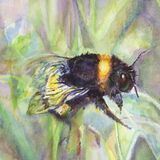 Exhibition; Gardens of Delight