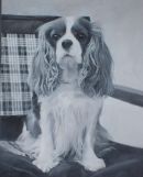king charles spaniel  sold