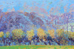 Magic colours of the Hedgrow