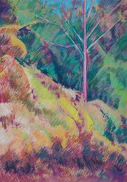 Young cherry tree in Autumn.