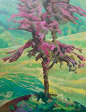 Crab Apple, Spring. Large Oil.