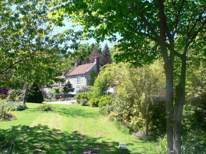 Garden and Studio