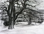 Tree in the Valley. Drawing.