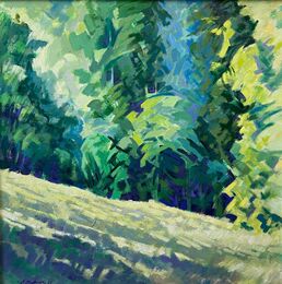 Low light in the Back Field