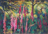 Foxgloves in the Glade