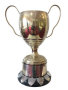 Annual Colour Human Portrait Print Class - Thomas Gough Cup