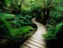 DEFINITION OF NATURE