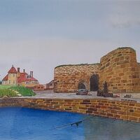 101 fa bkn watercolour