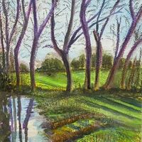 107 Woodland Shadows Acrylic&Pastel