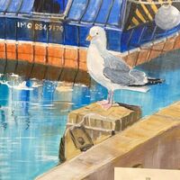 108 seagull Acrylic