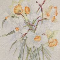 119 Spring Watercolour