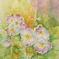 181 Hollyhocks Watercolour