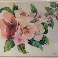 197 Apple Blossom Watercolour