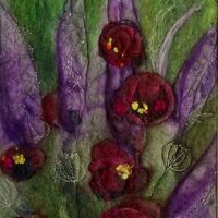 206 Poppies Pennedinwool