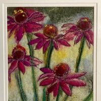 207 Echinacea PennedinWool