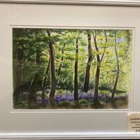 212 Lockdown2020 In Northcliffe Park Watercolour