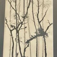 215 Winter Trees Ink