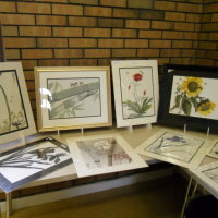 Anne Allen Chinese Brush Painting Dem June 2015