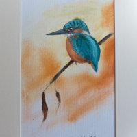 Kingfisher £35