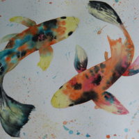 Koi Carp