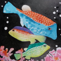 Tropical Box Fish