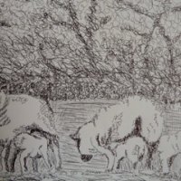 Sheep - Henry Moore Style