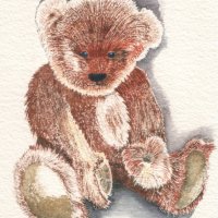 Teddy Bear