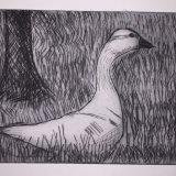 Trespassing goose - Etching