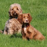 Mother and daughter!