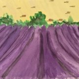 Lavender field 1