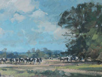 Cows heading back