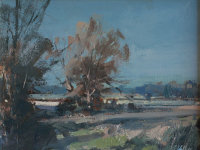 Evening Landscape