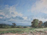 Cheshire Skies