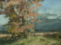 Light after a Storm