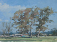 Suffolk Barn