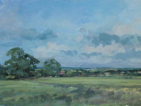 Summer Landscape