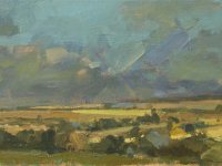Yellow Fields on a Windy Day
